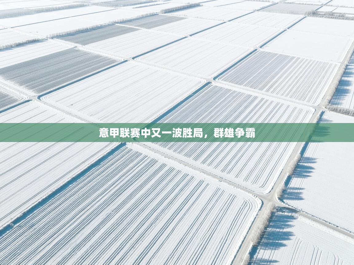 开云体育入口-意甲联赛中又一波胜局，群雄争霸  第3张