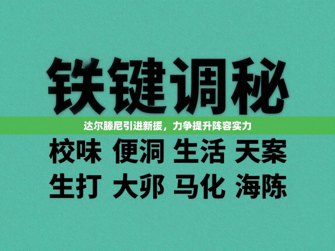 开云体育app下载-达尔滕尼引进新援，力争提升阵容实力  第2张